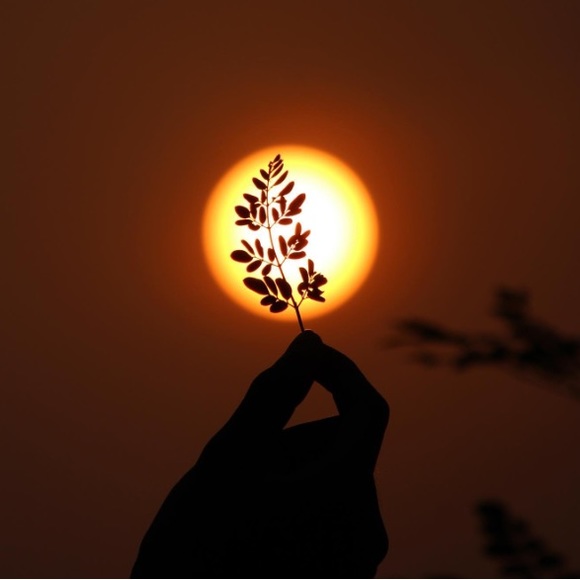 BOHO SUNDAY 2/8🙌🌼🙌 2:40 pst - Picture 16 of 16